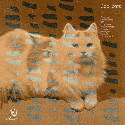 VA - Cool Cats / In The Box Records