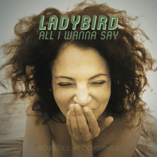 Ladybird - All I Wanna Say / Robsoul Recordings