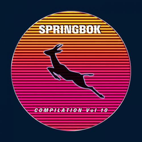 VA - Springbok Compilation, Vol. 10 / Springbok Records