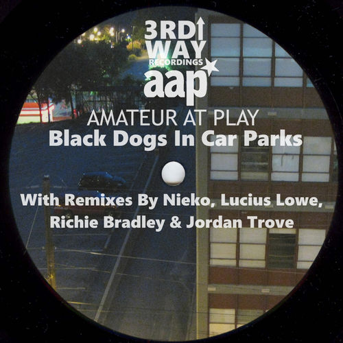 Amateur At Play - Black Dogs In Car Parks The Remixes EP / 3rd Way Recordings