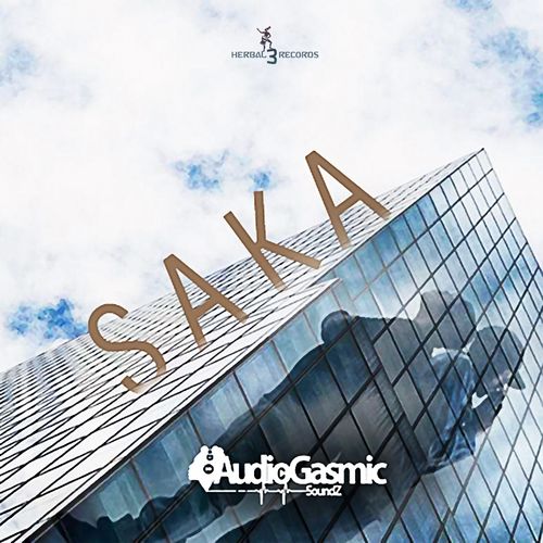 AudioGasmic SoundZ - Saka / Herbal 3 Records