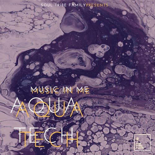 AquaTech - Music In Me (EP) / SoulTribe Family