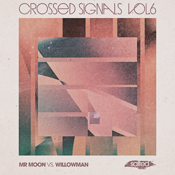 Mr. Moon vs. WillowMan - Crossed Signals Vol. 6 / Salted Music