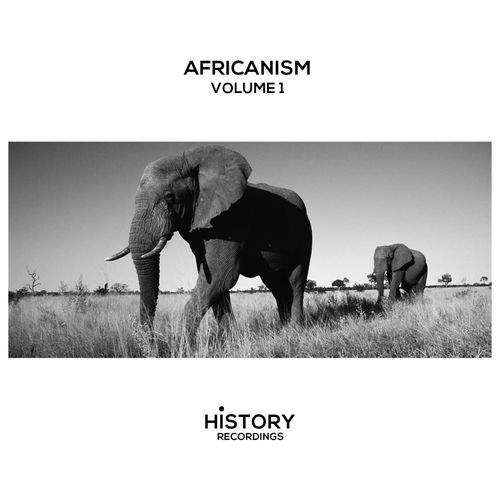 VA - Africanism / History Recordings