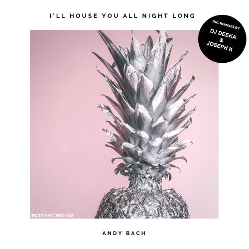 Andy Bach - I'll House You All Night Long / SCTY