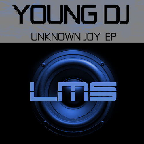 Young DJ - Unknown Joy EP / LadyMarySound International