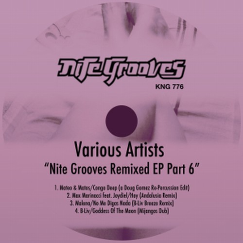 VA - Nite Grooves Remixed EP, Part 6 / Nite Grooves