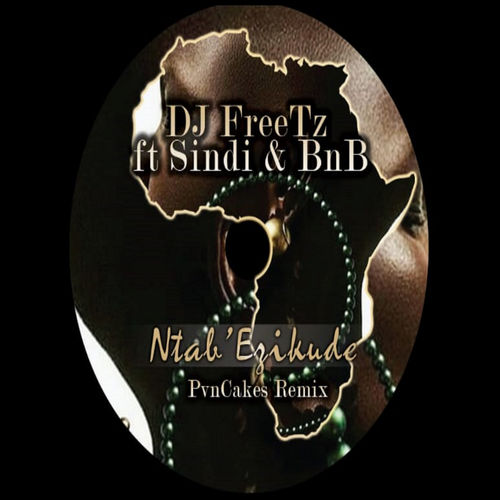 DJ Freetz - Ntab' Ezikude (PvnCakes Remix) / FREETONE ENTERTAINMENT