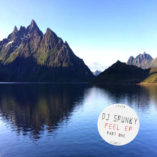 DJ Spunky - Feel EP, Pt. 1 / SPUNK records (PTY) LTD