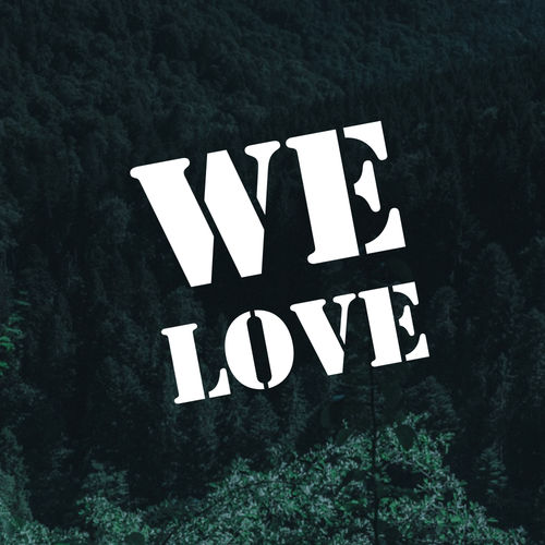 VA - We Love / Mycrazything Records