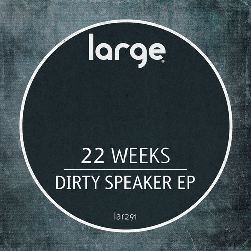 22 weeks - Dirty Speaker EP / Large Music
