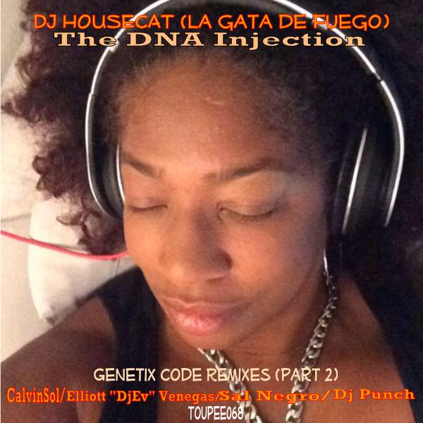 DjHousecat (la gata de fuego) - The DNA Injection (Part 2) The Genetix Code Remixes / Toupee Records
