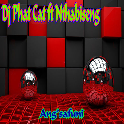 Dj Phat Cat - Ang'safuni (feat. Nthabiseng) / Phat Cat Productions