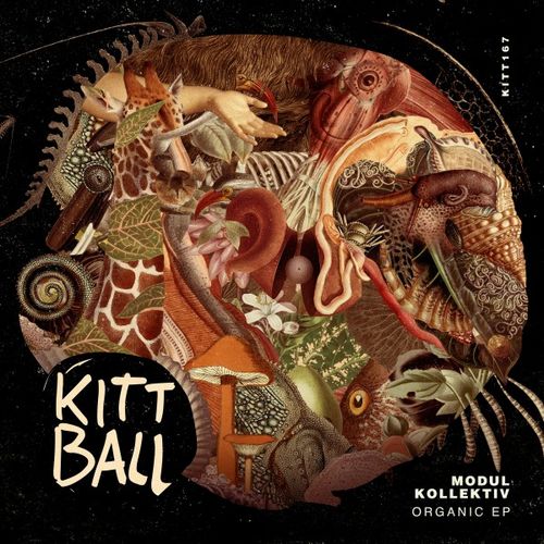 Modul Kollektiv - Organic EP / Kittball