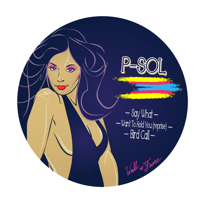 P-Sol - Mixed Bag Vol 4 / Wall Of Fame