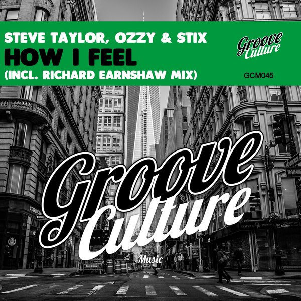 Steve Taylor, Ozzy & Stix - How I Feel / Groove Culture