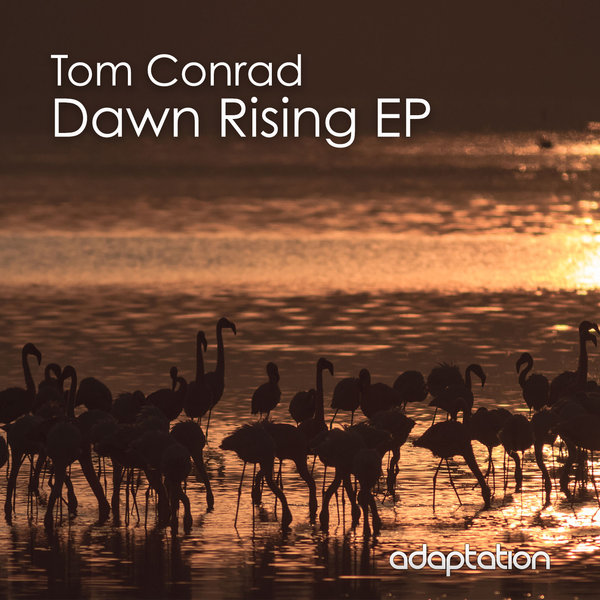 Tom Conrad - Dawn Rising EP / Adaptation Music