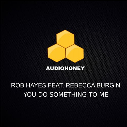 Rob Hayes ft Rebecca Burgin - You Do Something to Me / Audio Honey