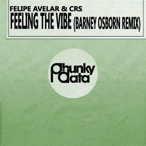 Felipe Avelar & CRS - Feeling the Vibe (Barney Osborn Remix) / Phunky Data