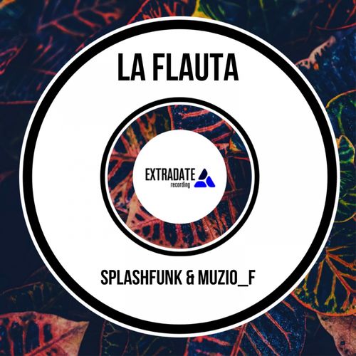 Splashfunk & Muzio F - La Flauta / Extradate Recording