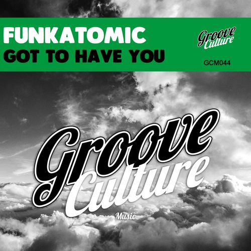 Funkatomic - Got to Have You / Groove Culture