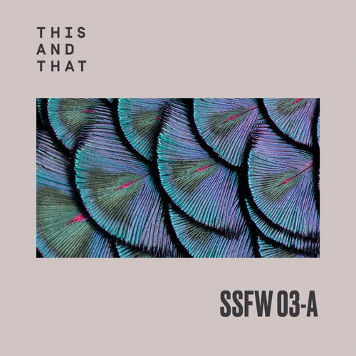 VA - SSFW #3A / This And That