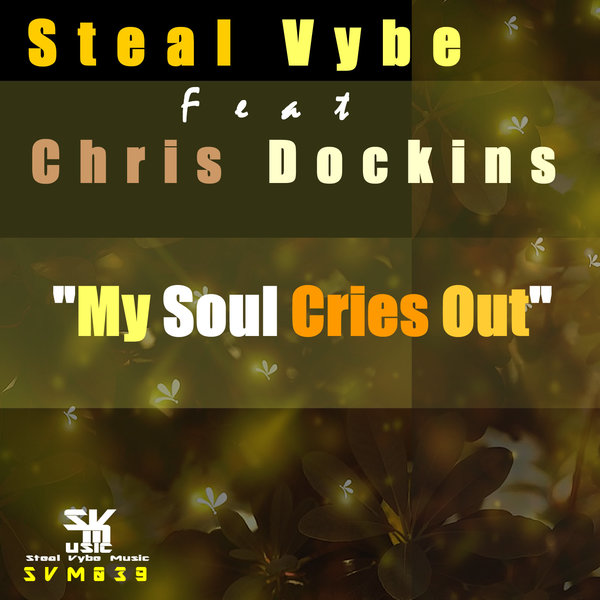 Steal Vybe feat. Chris Dockins - My Soul Cries Out / Steal Vybe