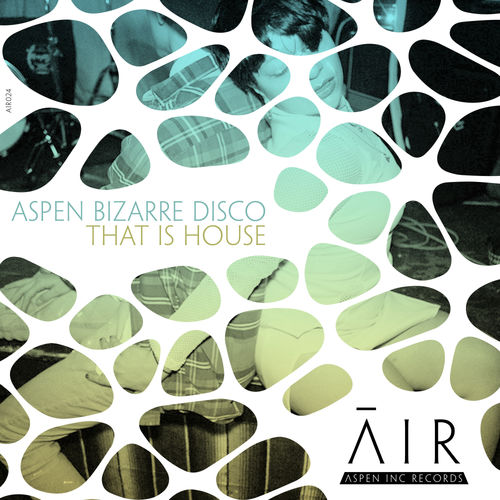 aspen bizarre disco - That Is House / Aspen Inc Records