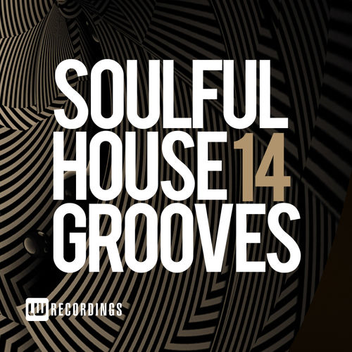 VA - Soulful House Grooves, Vol. 14 / LW Recordings