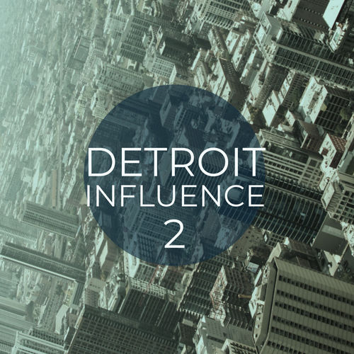 VA - Detroit Influence 2 / Mycrazything Records