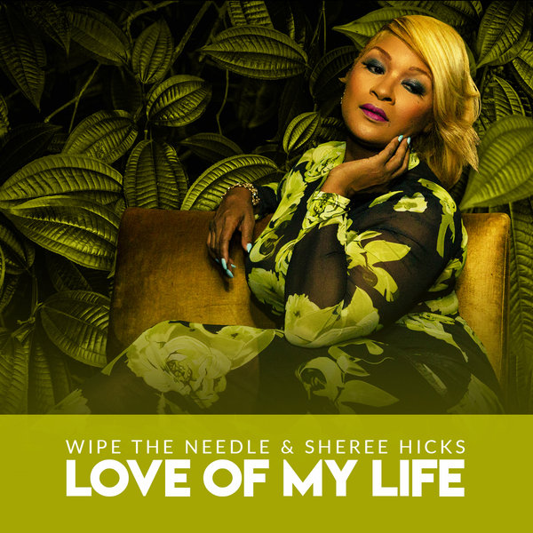 Wipe The Needle & Sheree HIcks - Love Of My Life / Vibe Boutique Records