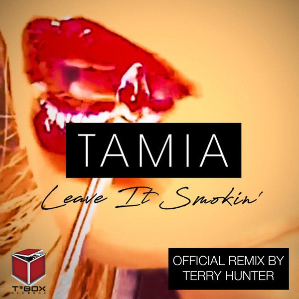 Tamia - Leave It Smokin' (Terry Hunter Remixes) / T's Box