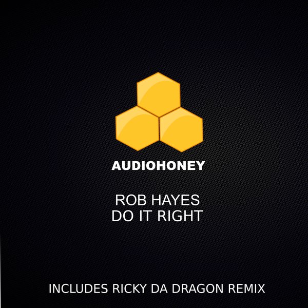 Rob Hayes - Do It Right / Audio Honey