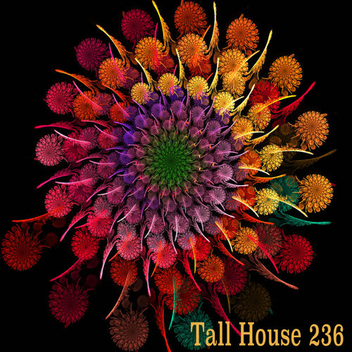 VA - Tall House 236 / Tall House Digital