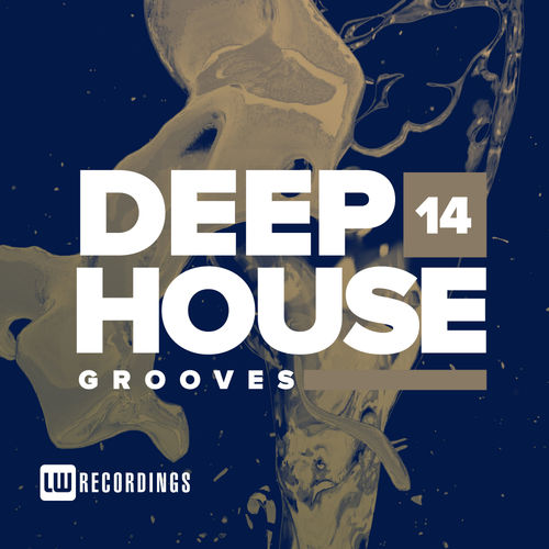 VA - Deep House Grooves, Vol. 14 / LW Recordings