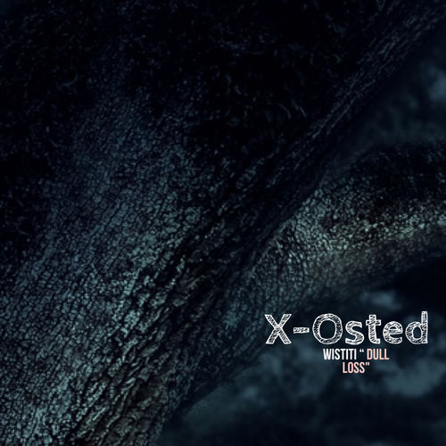 Wistiti - Dull Loss (Tribalizer Mix) / X-Osted Records