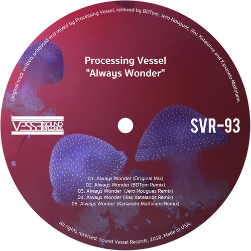Processing Vessel - Always Wonder / Sound Vessel Records