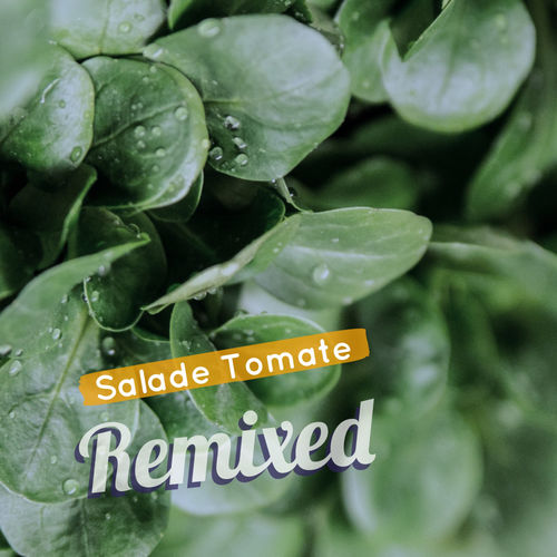 Salade Tomate - Remixed / MCT Luxury