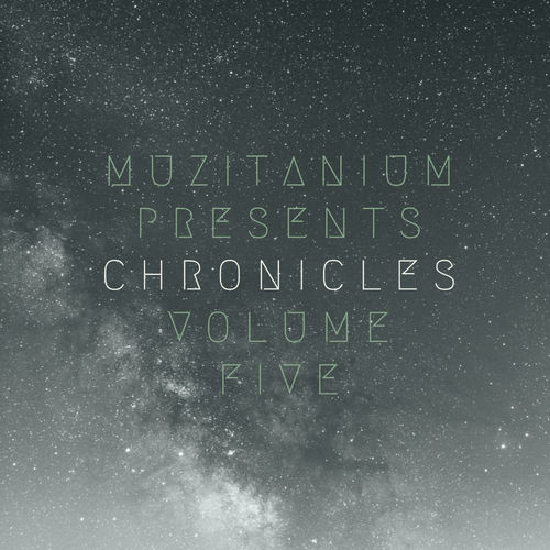 VA - The Chronicles, Vol. 5, Pt. 2 / MuziTanium