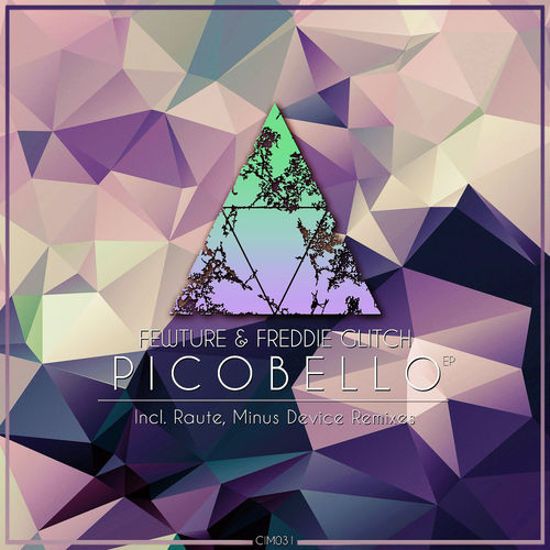 Fewture - Picobello EP / Colour In Music