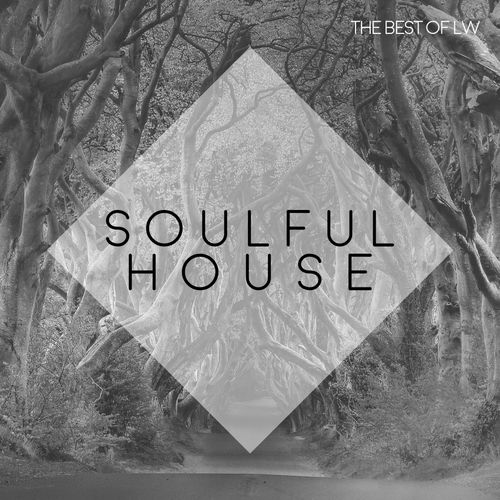 VA - Best of LW Soulful House III / LW Recordings