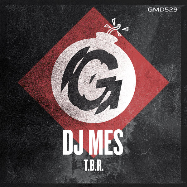DJ Mes - T.B.R. / Guesthouse