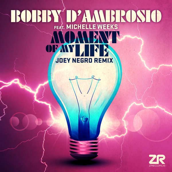 Bobby D'Ambrosio feat. Michelle Weeks - Moment Of My Life (Joey Negro Remixes) / Z Records