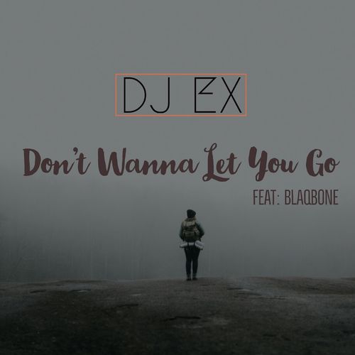 DJ Ex - Don't Wanna Let You Go (feat. Blaqbone) / Sfithah Entertainment