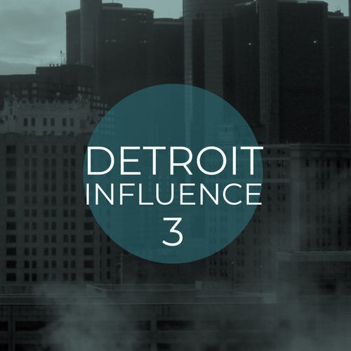 VA - Detroit Influence 3 / Mycrazything Records