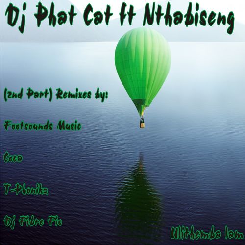 Dj Phat Cat - Ulithemba Lam, Pt. 2 (Remixes) / Andasoul Publishing