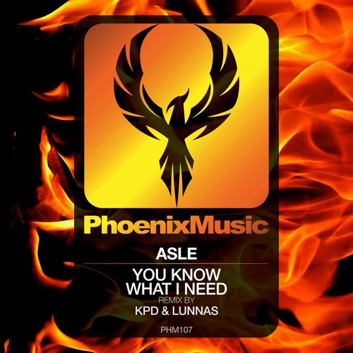 Asle - You Know What I Need (Remixes) / Phoenix Music