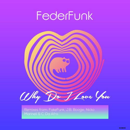 FederFunk - Why Do I Love You / SpincatMusic