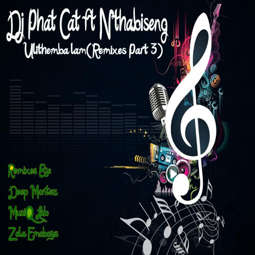 Dj Phat Cat - Ulithemba lam (feat. Nthabiseng) [Remixes, Pt. 3] / Phat Cat Productions