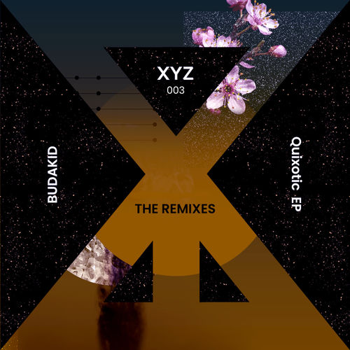 Budakid,Westseven, Sterioa - Quixotic [The Remixes] / When We Dip XYZ